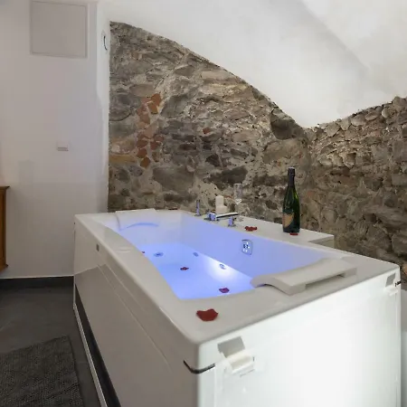 Luxury Studio & Vieux Apartment Lyon