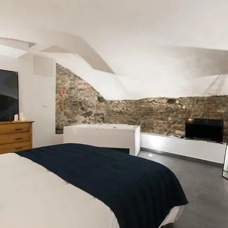 Luxury Studio & Vieux Apartment Lyon